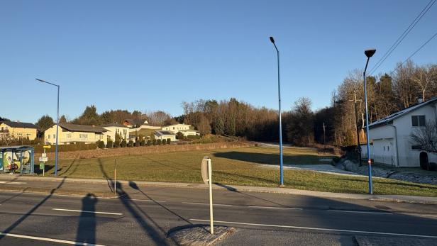Mehrere Häuser stehen am Rand einer Wiese, im Vordergrund verläuft eine Straße mit Gehweg und Straßenlaternen.