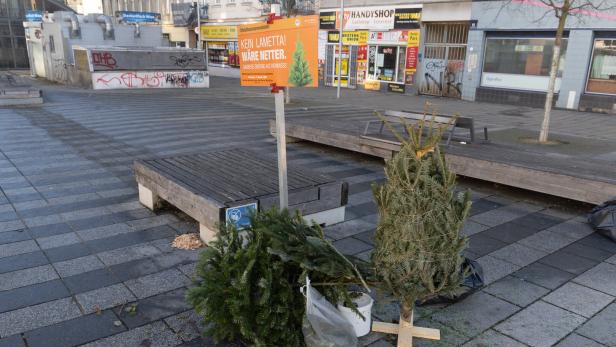 Zwei ausgediente Weihnachtsbäume stehen neben einer Bank auf einem gepflasterten Platz mit einem Hinweisschild.
