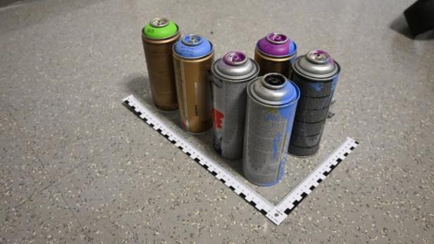 Dem Sprayer in Hütteldorf wurden sechs Dosen abgenommen.