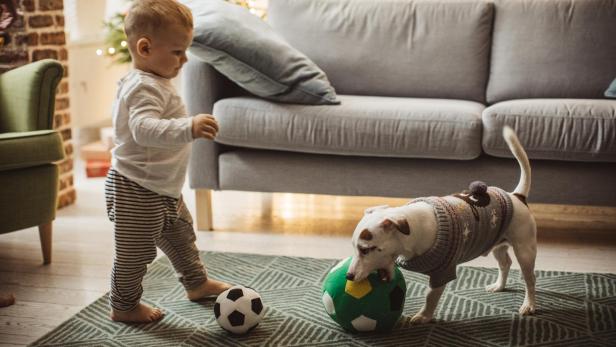 Kleines Kind steht auf einem Teppich vor einem Sofa und spielt mit einem kleinen Fußball, während ein Hund an einem größeren Fußball schnüffelt.