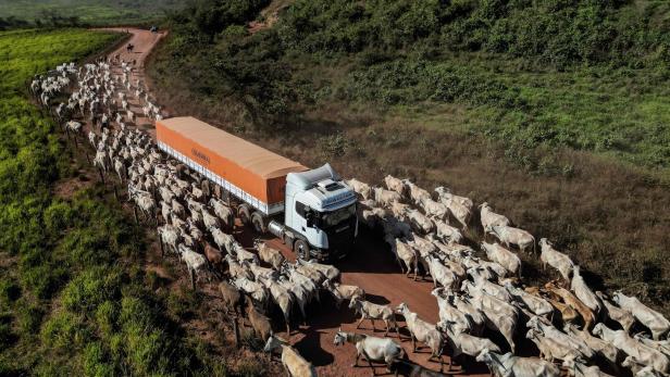 CLIMATE-COP30-BRAZIL-UN-AMAZON-FOREST FIRES