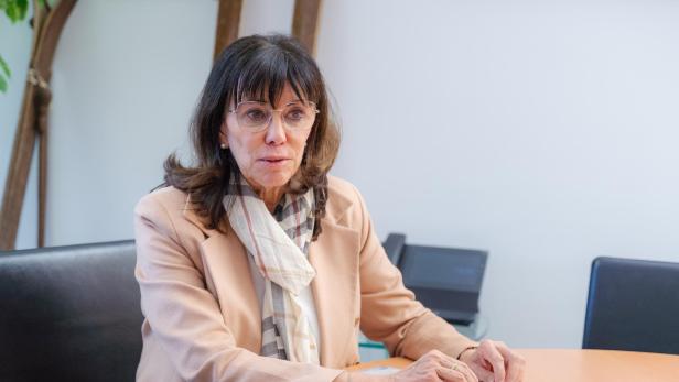 WKÖ Chefin Martha Schultz ist für einen Industriestrompreis.