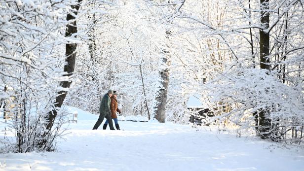 ++ THEMENBILD ++ KÄLTE / WINTER / WETTER / TEMPERATUREN / FROST / SCHNEE