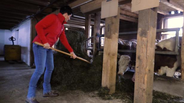 Eine Frau benutzt einen Rechen, um Heu zusammenzutragen.