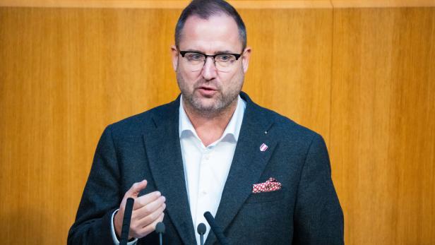 NATIONALRAT: HAFENECKER