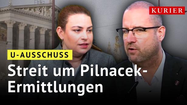 Pilnacek-Causa: U-Ausschuss startet mit schweren Vorwürfen