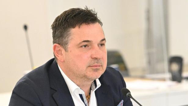 ÖVP-KORRUPTIONS-U-AUSSCHUSS: RIES