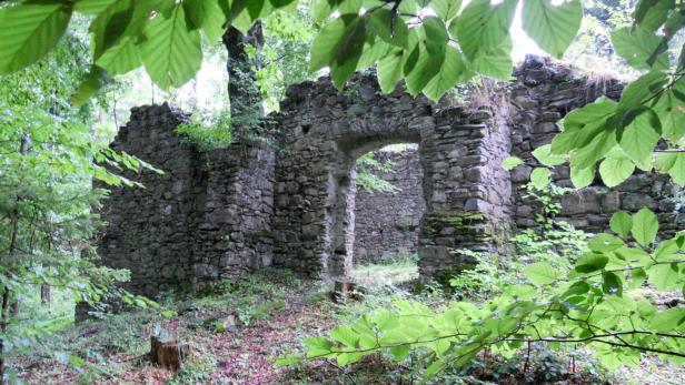 Alte, überwucherte Steinruine steht im dichten, grünen Wald, umgeben von Bäumen und Pflanzen.