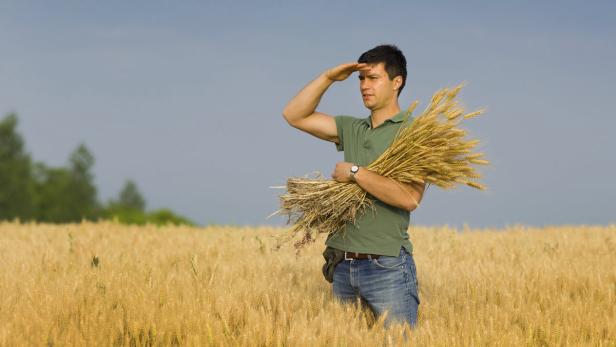 Plattform „Perspektive Landwirtschaft“ will Höfe ohne familiäre Nachfolger an Interessenten vermitteln.