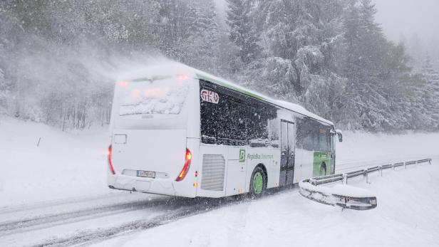 ++ THEMENBILD ++ WINTEREINBRUCH IN DER STEIERMARK