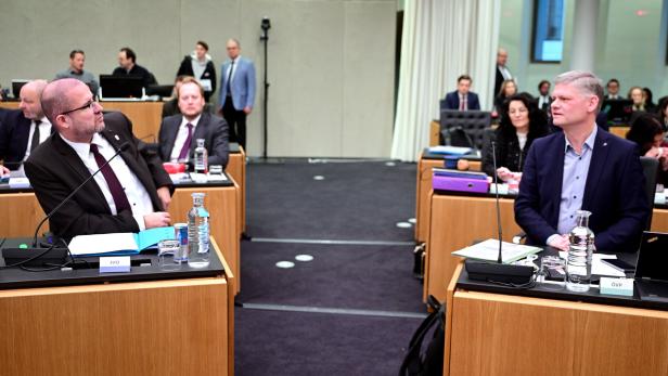 PILNACEK-U-AUSSCHUSS: HAFENECKER / HANGER