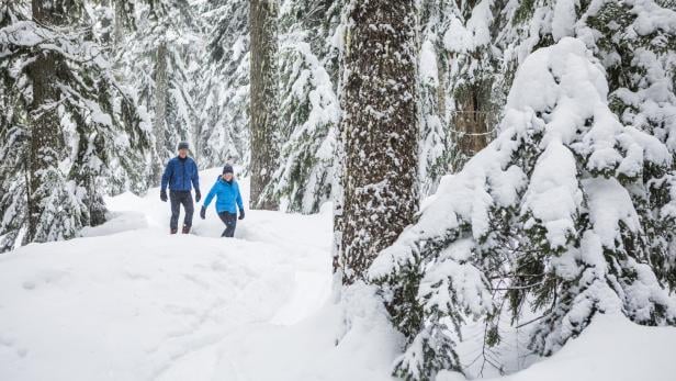Zwei Menschen wandern in dicker Winterkleidung durch einen verschneiten Wald mit hohen, schneebedeckten Bäumen.