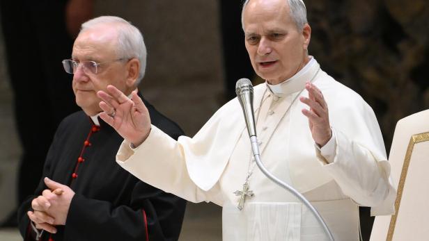 Pope Leo XIV leads the weekly general audience