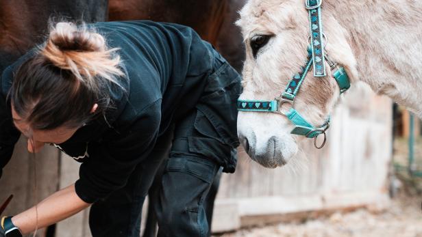 Eine Frau reinigt das Huf eines Pferdes. 