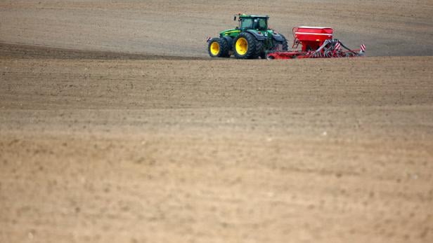 Phosphor in der Landwirtschaft