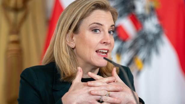 MINISTERRAT: PRESSEFOYER - MEINL-REISINGER