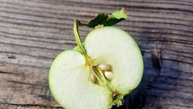 Eine grüne Apfelhälfte mit Kernen und Stiel liegt auf einer Holzoberfläche.