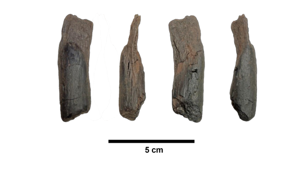 Kleines Holzwerkzeug aus verschiedenen Perspektiven.