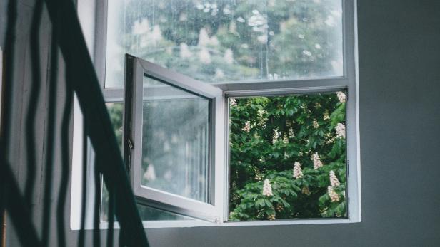 Offenes Fenster in einem Treppenhaus mit Blick ins Grüne