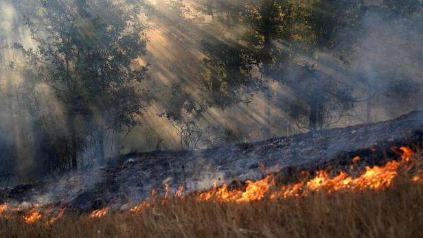 FILES-SPAIN-ENVIRONMENT-DISASTER-ECONOMY