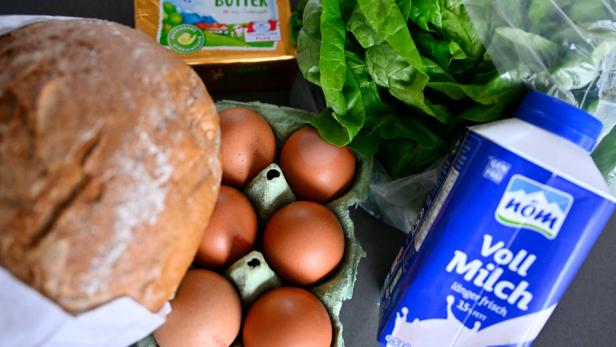 ++ THEMENBILD ++ MEHRWERTSTEUER-SENKUNG / MWST-SENKUNG / LEBENSMITTEL / GRUNDNAHRUNGSMITTEL / WARENKORB / PREISE / INFLATION / TEUERUNG