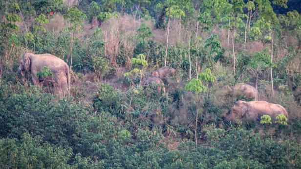 THAILAND-ANIMAL-CONSERVATION