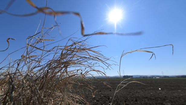 ++ THEMENBILD ++ TROCKENHEIT / WETTER /? DÜRRE /? KLIMAWANDEL