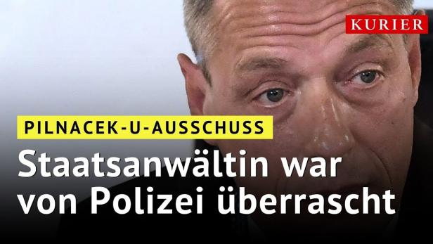 Staatsanwältin im U-Ausschuss: Polizei hielt an "Ertrinkungstod" von Pilnacek fest