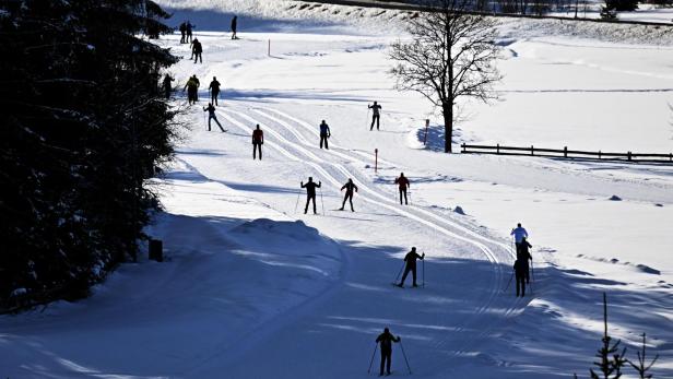 Zahlreiche Skilangläufer bewegen sich auf einer sonnigen, verschneiten Loipe durch eine winterliche Landschaft.