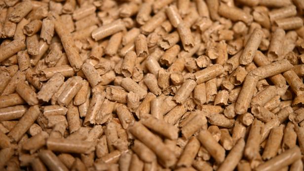 ++ THEMENBILD ++ PELLETPRODUKTION / HOLZPELLETS / BIOMASSE