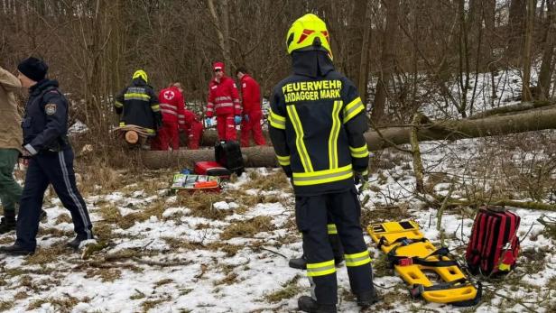 Unfallstelle im WAld