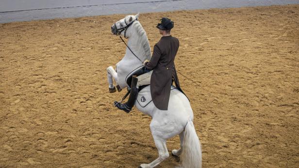 Spanische Hofreitschule