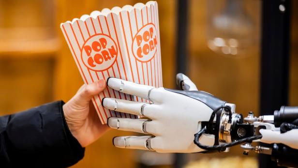 KI kann viele Dinge noch nicht selbstständig machen. Mit menschlicher Hilfe klappt es besser.