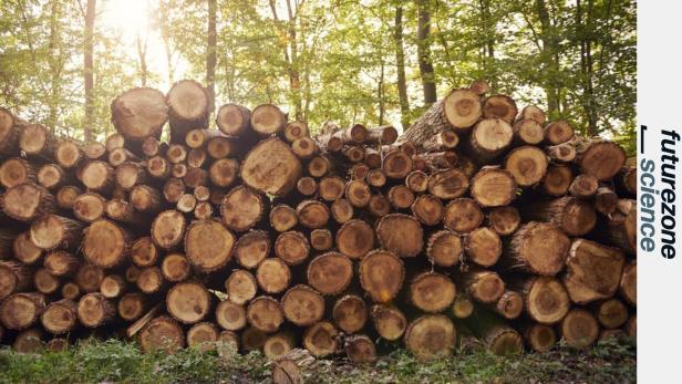 Dopamin aus Lignin hergestellt