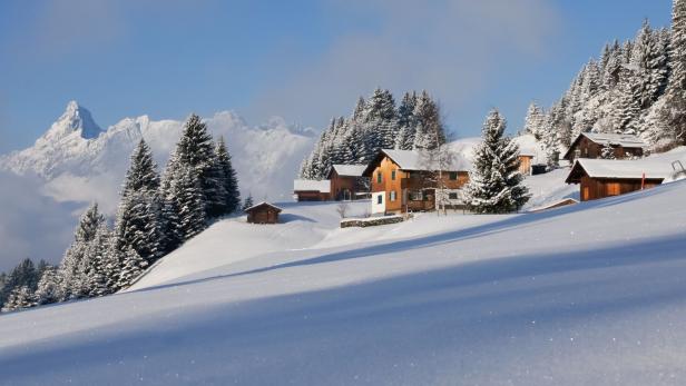 Verschneite Häuser und Tannen zieren einen Hang vor schneebedeckten Bergen unter blauem Himmel.