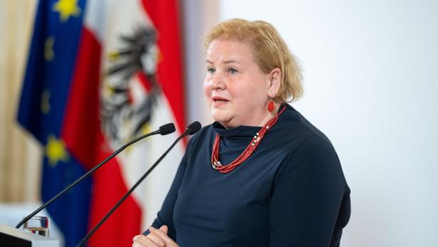 GEWALTSCHUTZGIPFEL INNENMINISTERIUM "GEMEINSAM GEGEN GEWALT": SCHUMANN