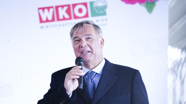 Walter Ruck spricht bei einer Veranstaltung der Wirtschaftskammer Wien ins Mikrofon.