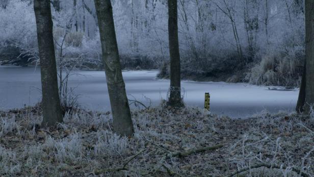 Vereister Teich im Winterwald, umgeben von frostbedeckten Bäumen und Gräsern.