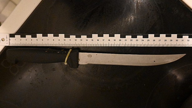 Eine Aufnahme des Messers neben einem schwarz-weißen Lineal.