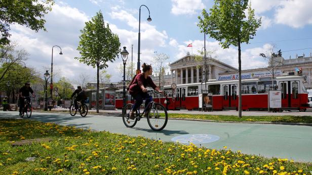 Fahrradfahrer auf der Wiener Ringstraße