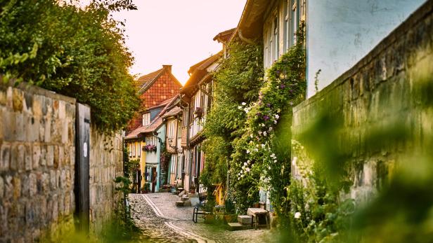 Verwinkelte Gasse mit Fachwerkhäusern und Blumen in Quedlinburg bei Sonnenuntergang.