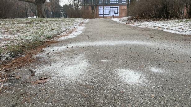 Streusalz neben Bäumen und Sträuchern ist verboten – hier im Arsenal wurde es aber offenbar doch verwendet. 