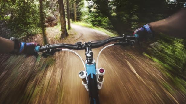 Naturfreunde und Alpenverein fordern in einer bundesweiten Allianz mit anderen Verbänden die Öffnung der Forstwege für Mountainbiker.