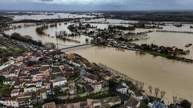 Am Intelligenztest gescheitert