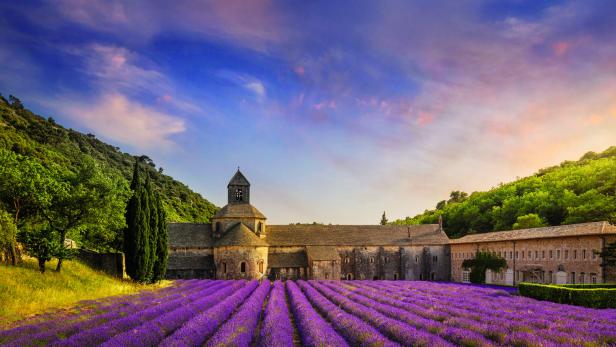 The Abbey of Senanque and the rows of lavender in bloom, panoramic view. Gordes, Vaucluse, Provence, France.