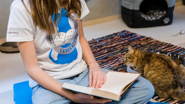 Lesekatzen 