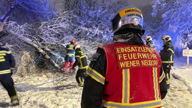 Mehrere Feuerwehrleute im Schnee.