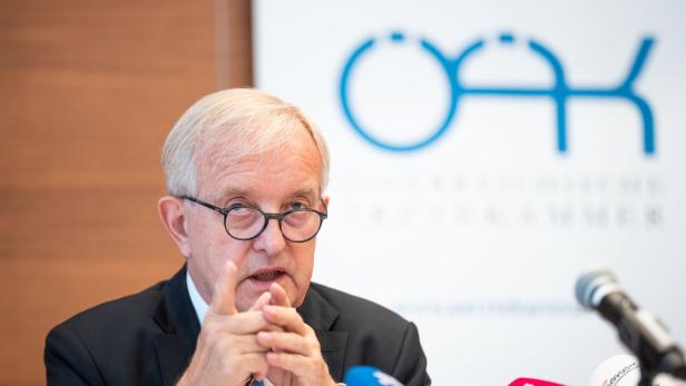 PK ÖSTERREICHISCHE ÄRZTEKAMMER (ÖÄK) "PRÄSENTATION DER AKTUELLEN ÄRZTESTATISTIK 2024": STEINHART