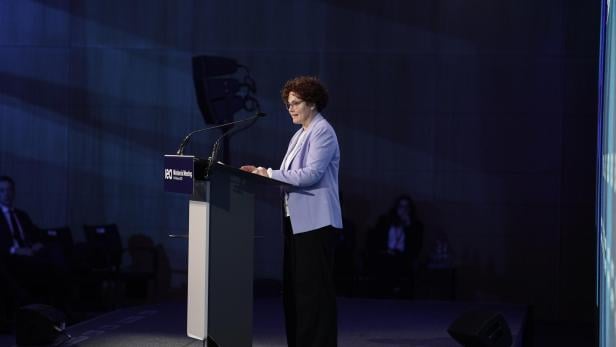 StS Zehetner bei der IEA in Paris