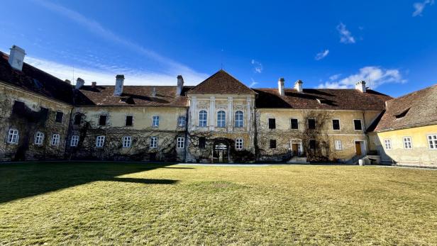 Seit 2016 finden die Gartentage im Schloss Kohfidisch statt. An zwei Veranstaltungstagen strömen mehr als 6.000 Besucherinnen und Besucher auf das drei Hektar große Areal.  